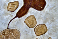 galerie, Malerei, Mandtmalerei, acryl, art, christiane mandt, artist, figurativ