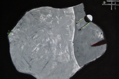 galerie, Malerei, Mandtmalerei, acryl, art, christiane mandt, artist, figurativ